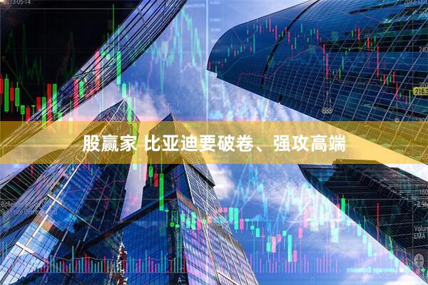 股赢家 比亚迪要破卷、强攻高端