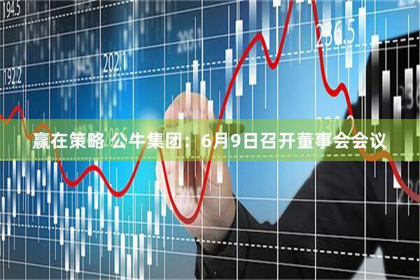 赢在策略 公牛集团：6月9日召开董事会会议