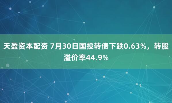 天盈资本配资 7月30日国投转债下跌0.63%，转股溢价率44.9%