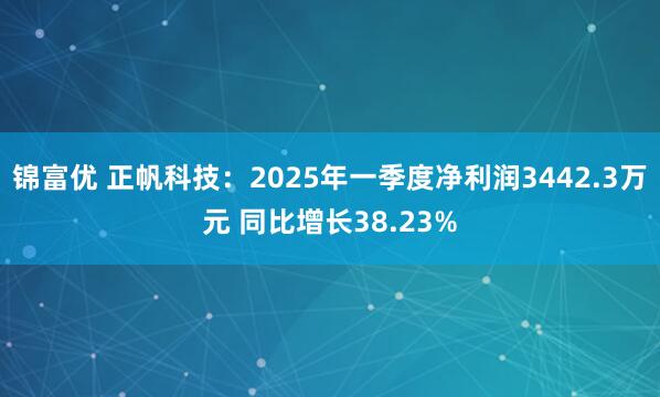 锦富优 正帆科技：2025年一季度净利润3442.3万元 同比增长38.23%