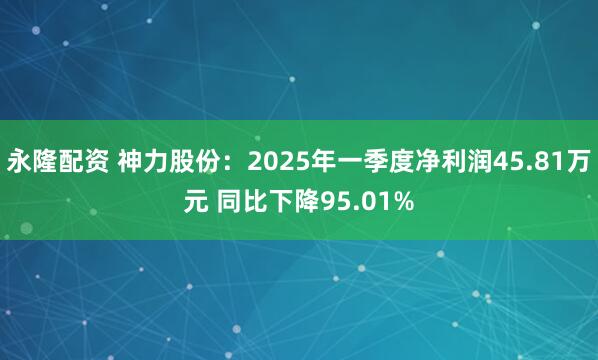 永隆配资 神力股份：2025年一季度净利润45.81万元 同比下降95.01%