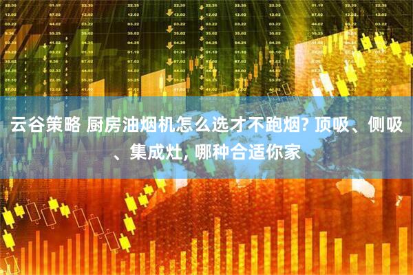 云谷策略 厨房油烟机怎么选才不跑烟? 顶吸、侧吸、集成灶, 哪种合适你家