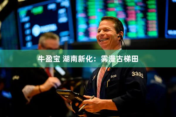 牛盈宝 湖南新化：雾漫古梯田